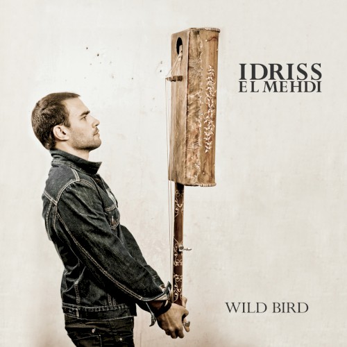 Wild Birds