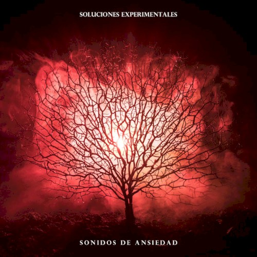 Soluciones Experimentales: Sonidos de Ansiedad
