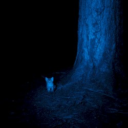 lonely