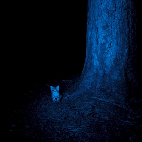 lonely