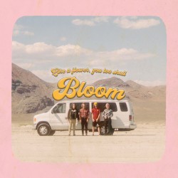 Bloom