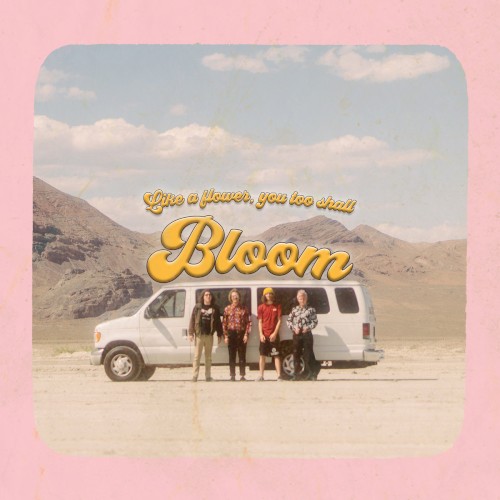 Bloom