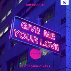 Give Me Your Love (Remixes)