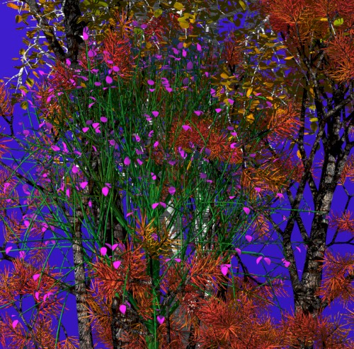 From the Root of Jesse Proceeds a Splendid Flower