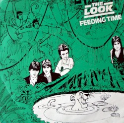 Feeding Time