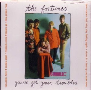 The World of the Fortunes: You've Got Your Troubles