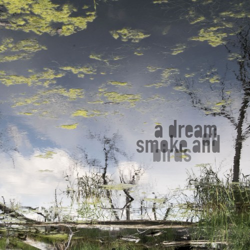 a dream of smoke and birds