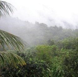 El Yunque