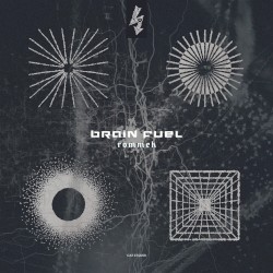 Brain Fuel