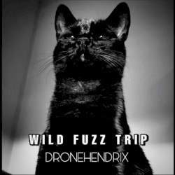 Dronehendrix