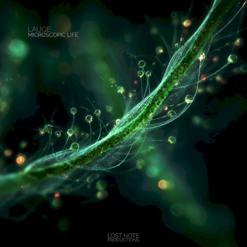 Microscopic Life
