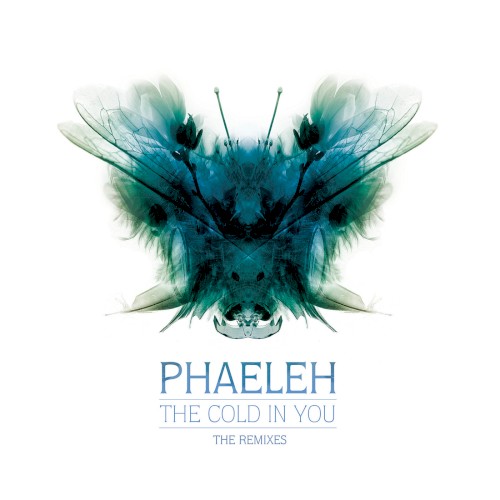 The Cold in You: The Remixes