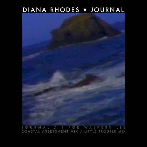 Journal