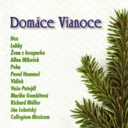 Domáce Vianoce