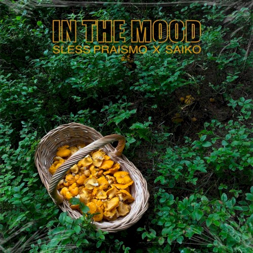 In the Mood