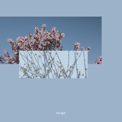 escape