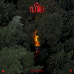 Old Flames