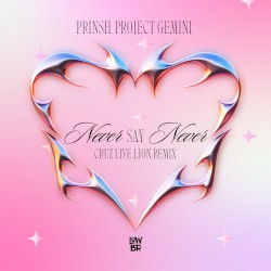 Never Say Never (CRUZ LIVE, Liøn remix)