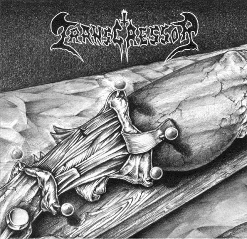 Recollected Limbs