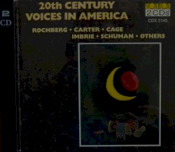 20th Century Voices in America