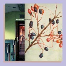 Non-Music 3