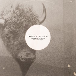 Buffalo Ghost