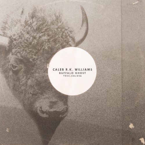 Buffalo Ghost