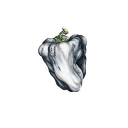 White Pepper