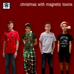 Christmas With Magnetic Toxins