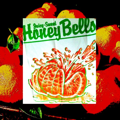 Honeybell