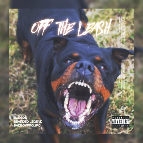 Off the Leash
