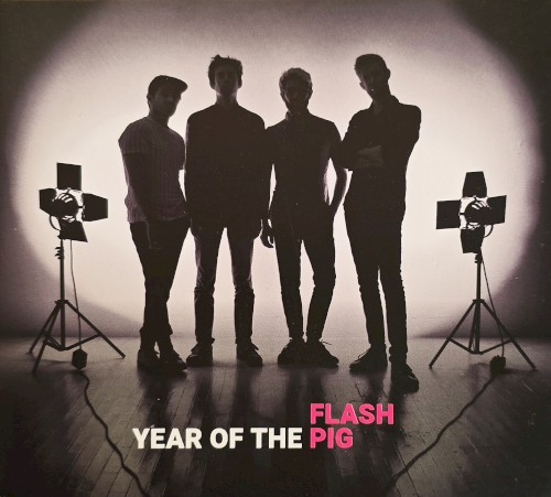 Year of the Pig