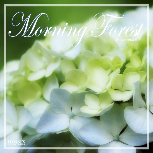 Morning Forest