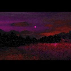 SKINWALKER