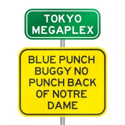 Blue Punch Buggy No Punch Back of Notre Dame