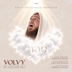 לב טהור