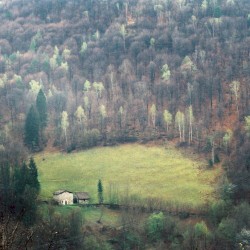 Hermit's Dream
