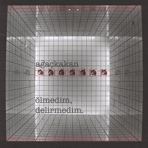 Ölmedim, Delirmedim