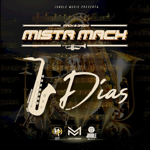 7 días