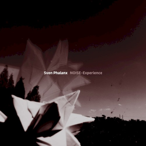 NOISE-Experience