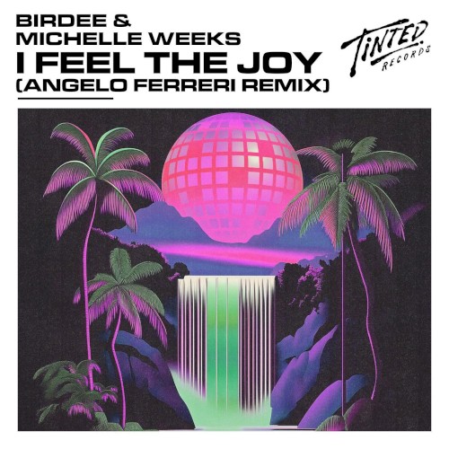 I Feel the Joy (Angelo Ferreri extended remix)