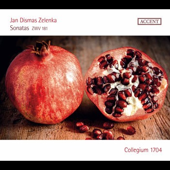 Sonatas, ZWV 181