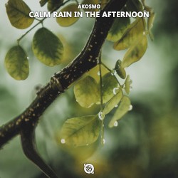 Calm Rain in the Afternoon