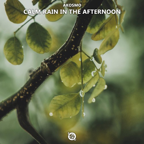 Calm Rain in the Afternoon