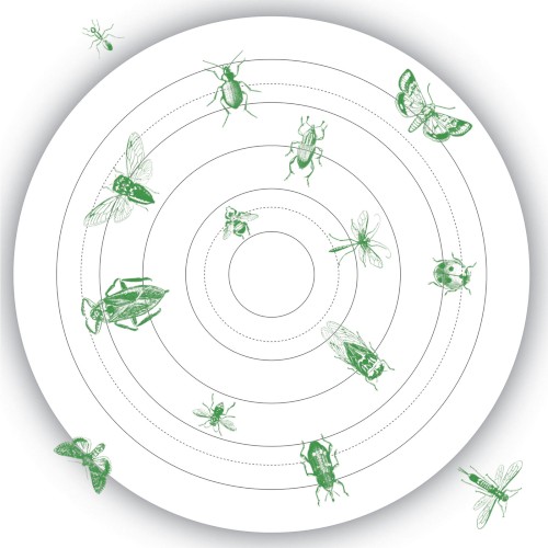 Insect-Talk
