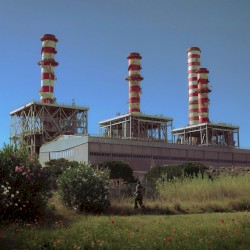 La bellezza del banale