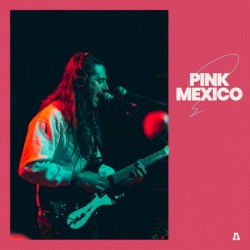 PINK MEXICO on Audiotree Live