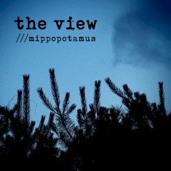 the view