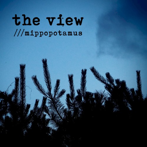 the view