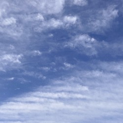 breeze and blues
